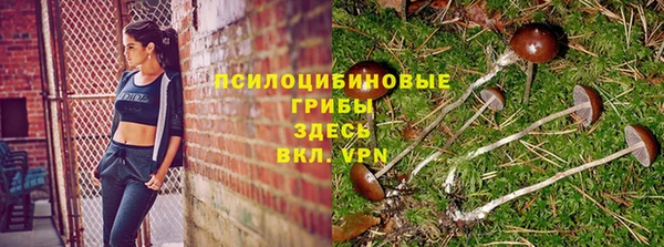 амфетамин Медвежьегорск
